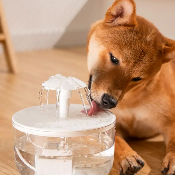 Fuente de agua silenciosa USB de 1L para mascotas